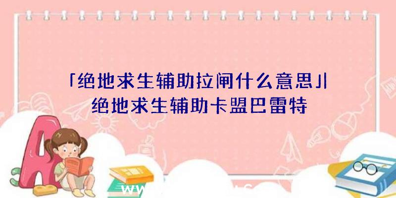 「绝地求生辅助拉闸什么意思」|绝地求生辅助卡盟巴雷特